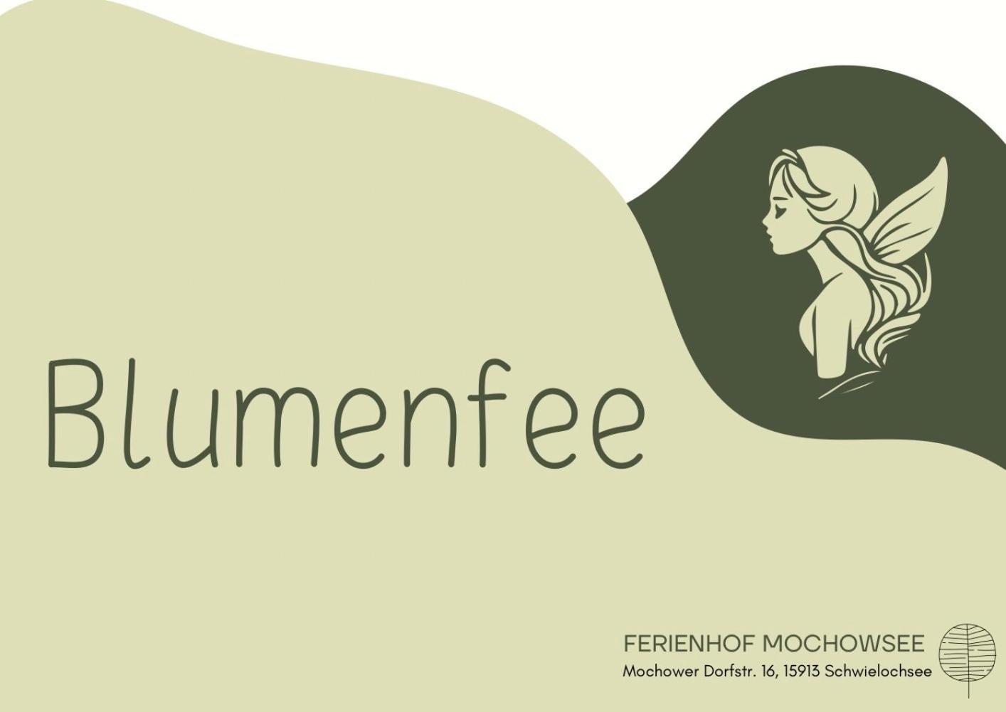 Ferienhof Mochowsee Schwielochsee Szoba fotó